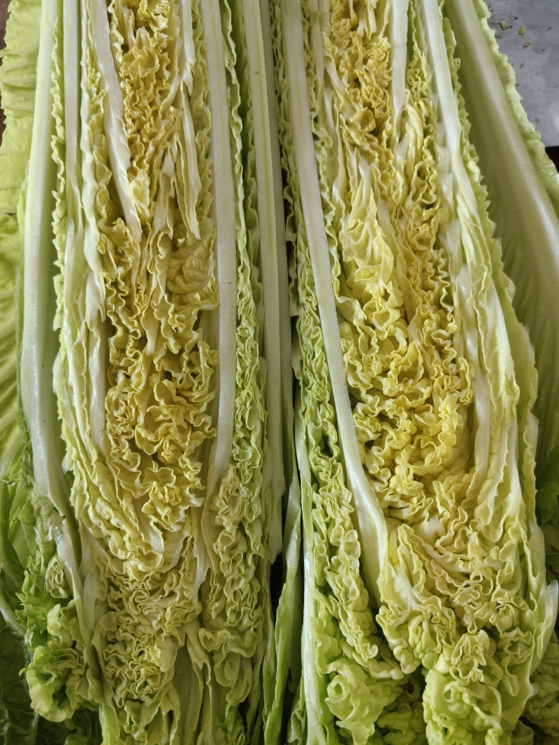 【精品】玉田60青麻叶产地直发量大从优品质保障