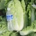 玉田大白菜北京三号菜支持各种包装