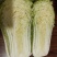 玉田大白菜北京三号菜支持各种包装