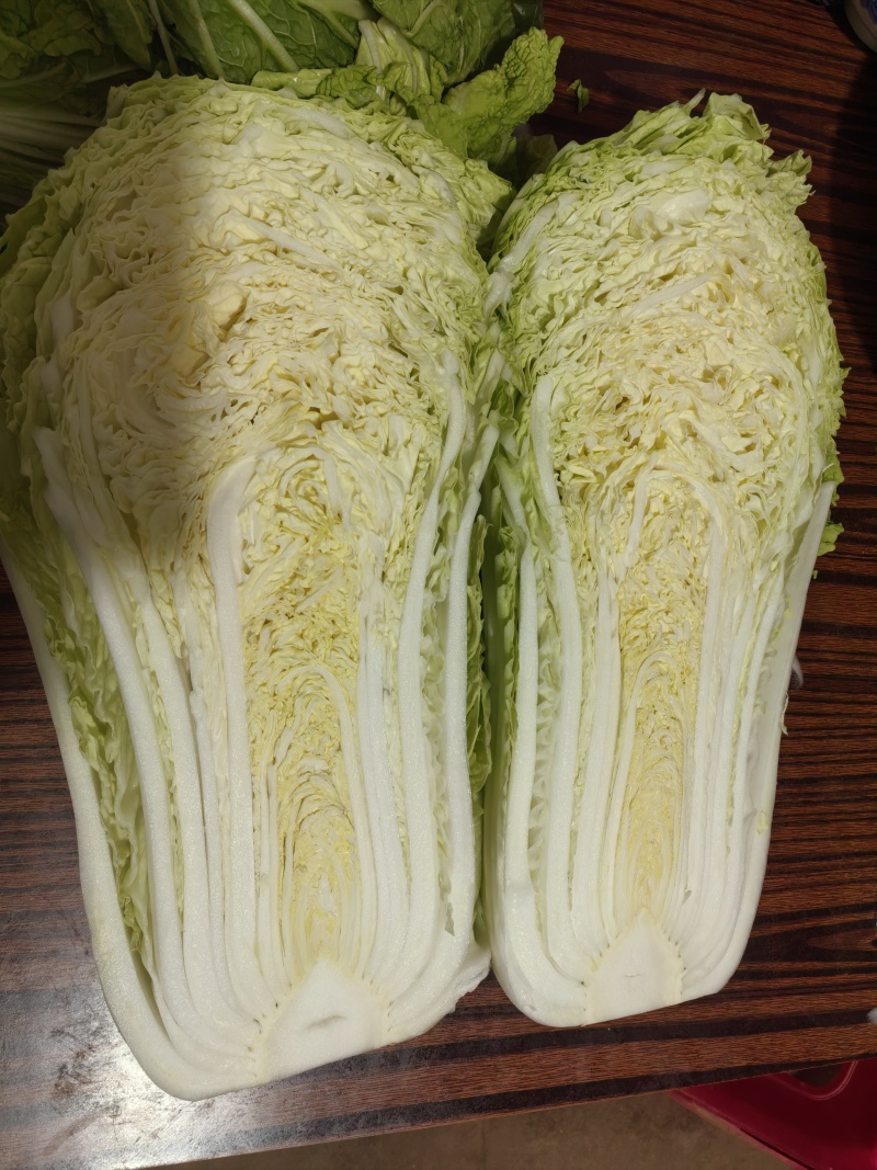 玉田大白菜北京三号菜支持各种包装