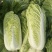 玉田大白菜北京三号菜支持各种包装