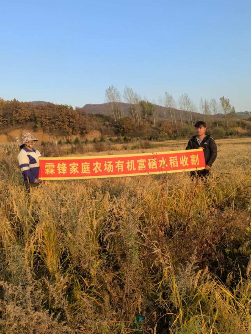 梅河口长粒香稻花香大米皇粮之乡核心产区***当季新粮
