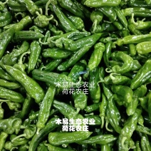 芜湖青椒，8号大青椒，大棚种植，承接各大商超，欢迎咨询。