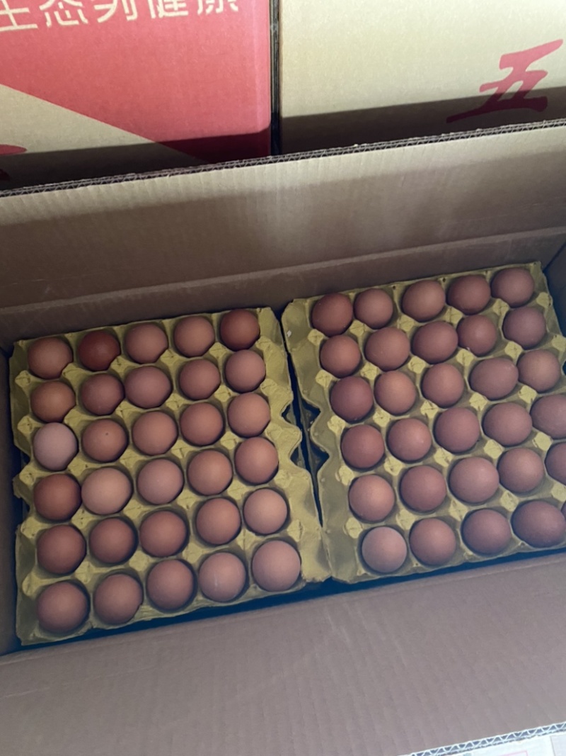 精品鸡蛋红壳蛋品质保证产地直发可视频看货