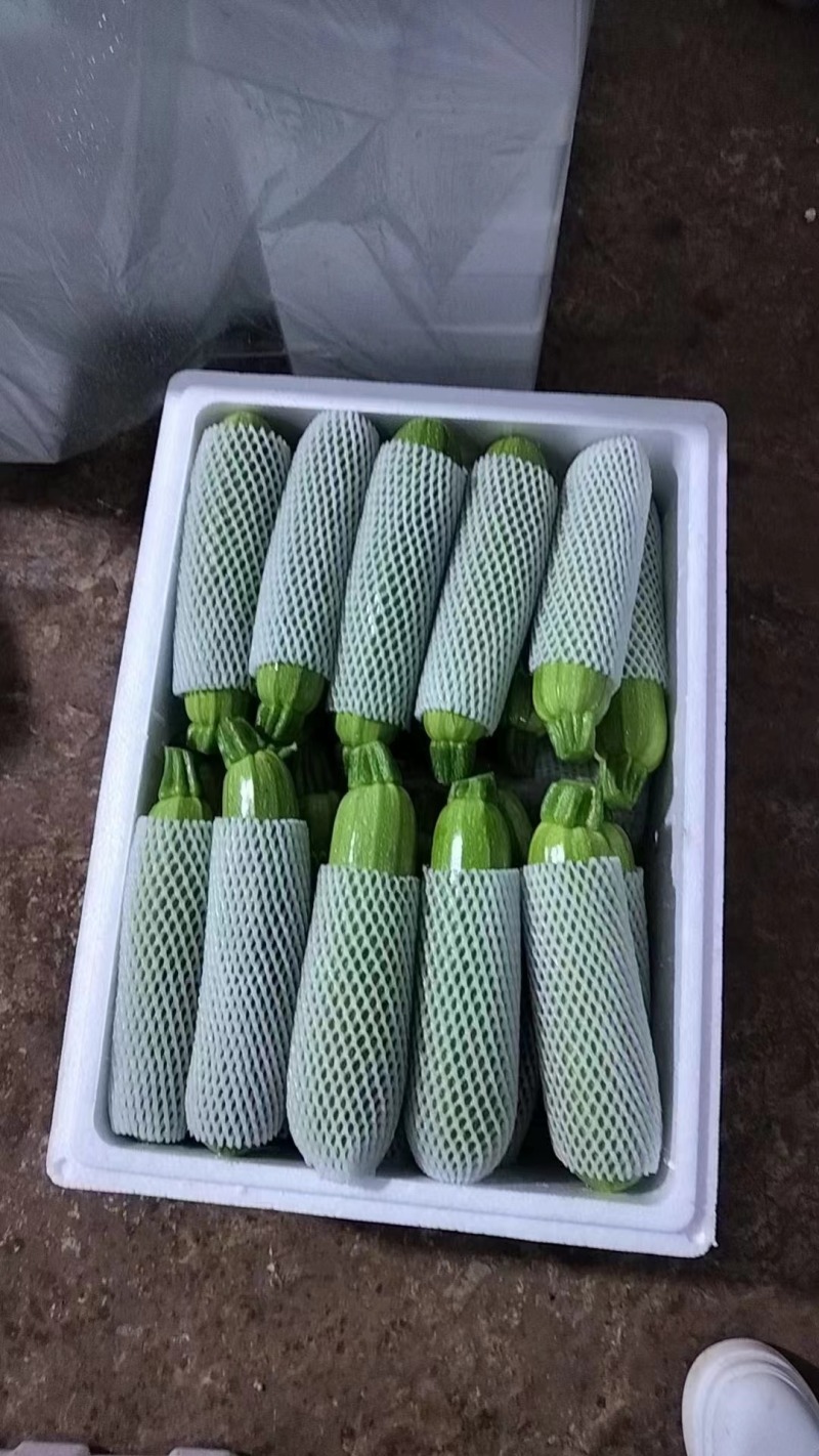 广西西葫芦，西葫芦产地直发电商**可开发票