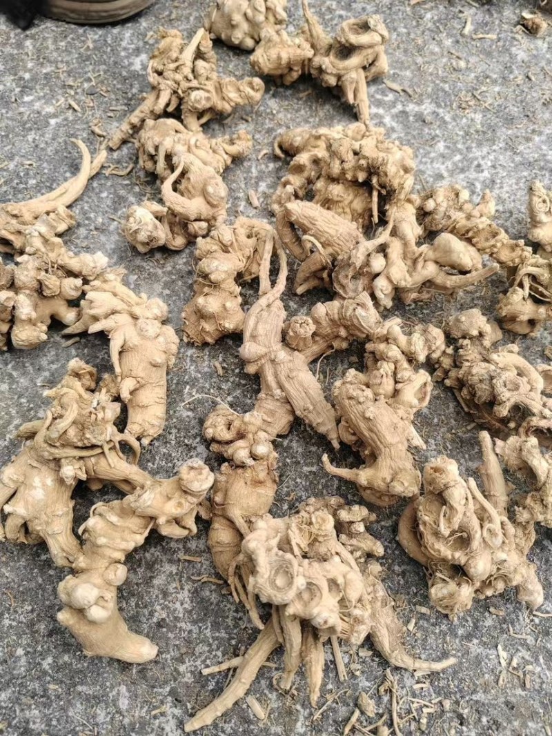 竹节参直播一件代发