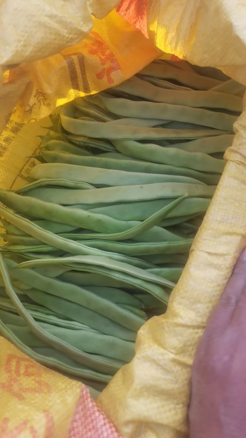 精品电商扁豆，提供一条龙服务