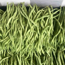 无筋豆大量上市，一手货源，基地货，有需要的联系……