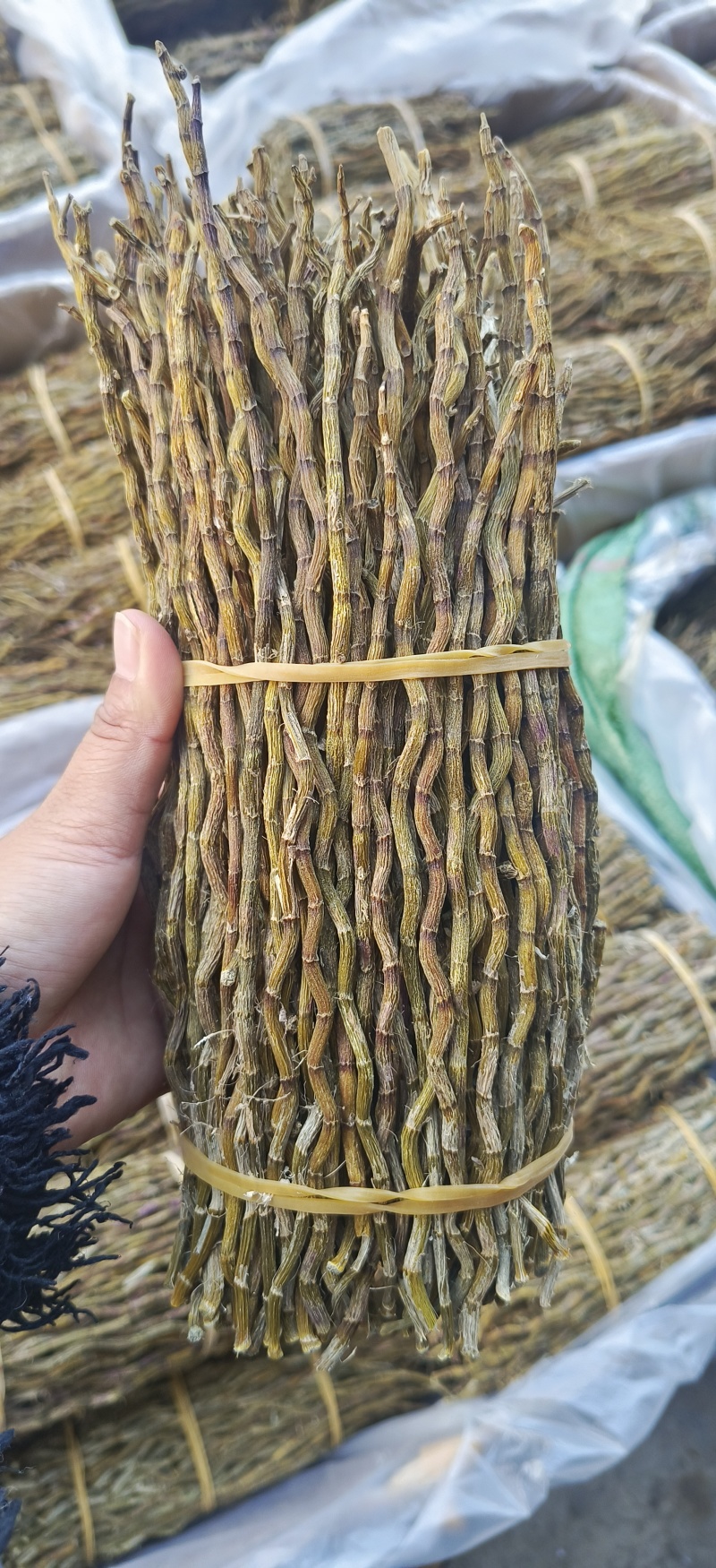 云南铁皮石斛干条批发五年生涯壁石斛可代磨铁皮石斛超细粉