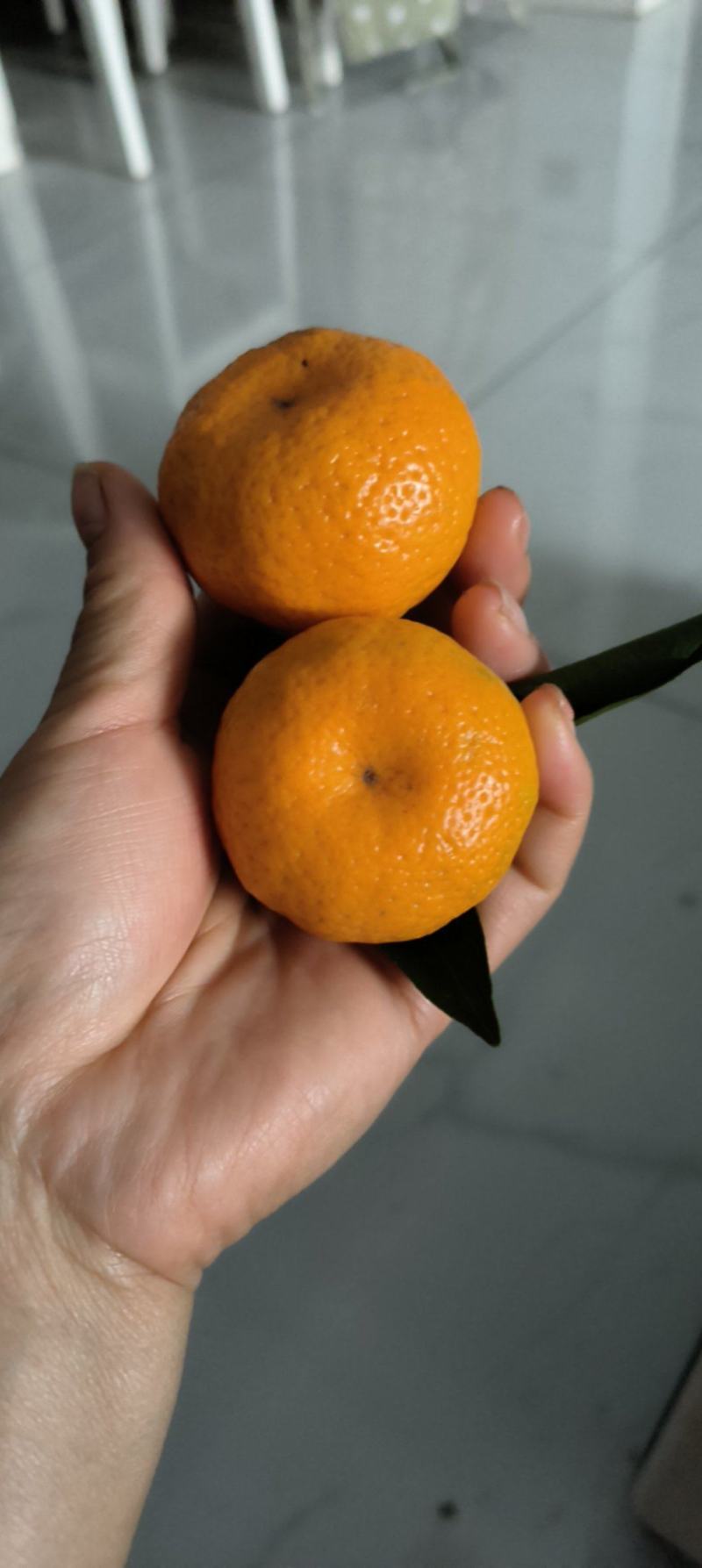 蜜橘，南丰蜜橘，产地直采，一手货源。物美价廉，量大从优