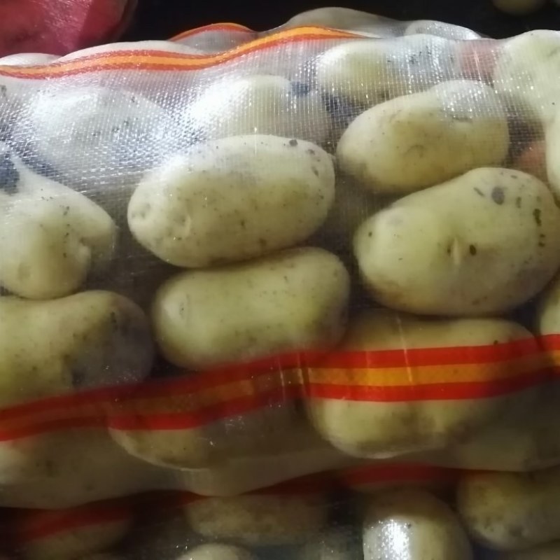 河北省沽源县大量供应黄皮黄心各品种土豆
