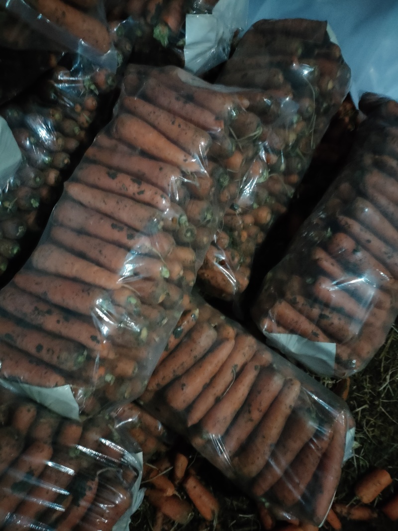 红萝卜，三红萝卜，支持各种包装，诚信经营