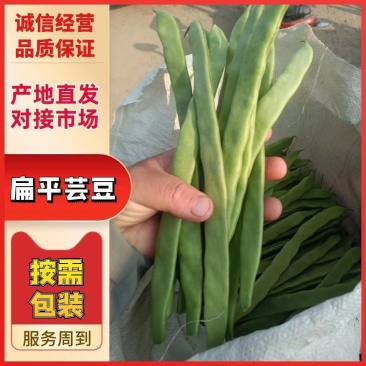 无丝豆，，，，，，，，，，！！！！！！！！