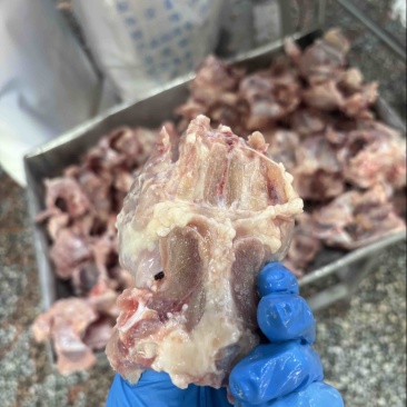 山东太合优质鸡半架鸡壳厂家直销量大优惠