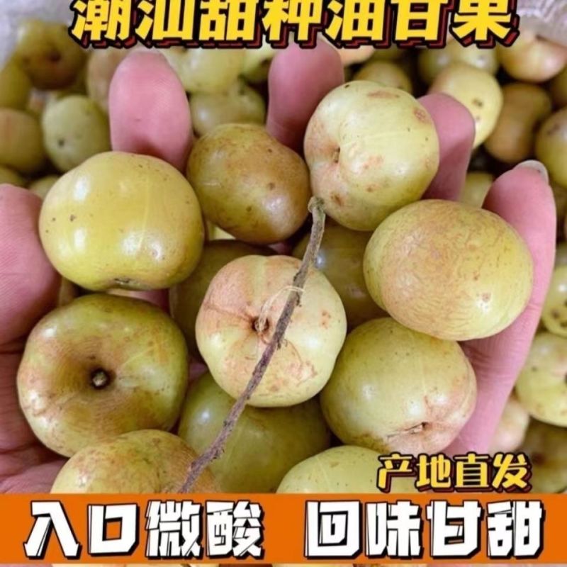 丙甜油甘榨汁生吃煲汤都很棒