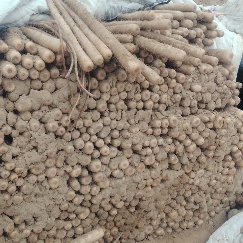 榆林紫药通货大量有货，以质论价，价格优惠，量大优先