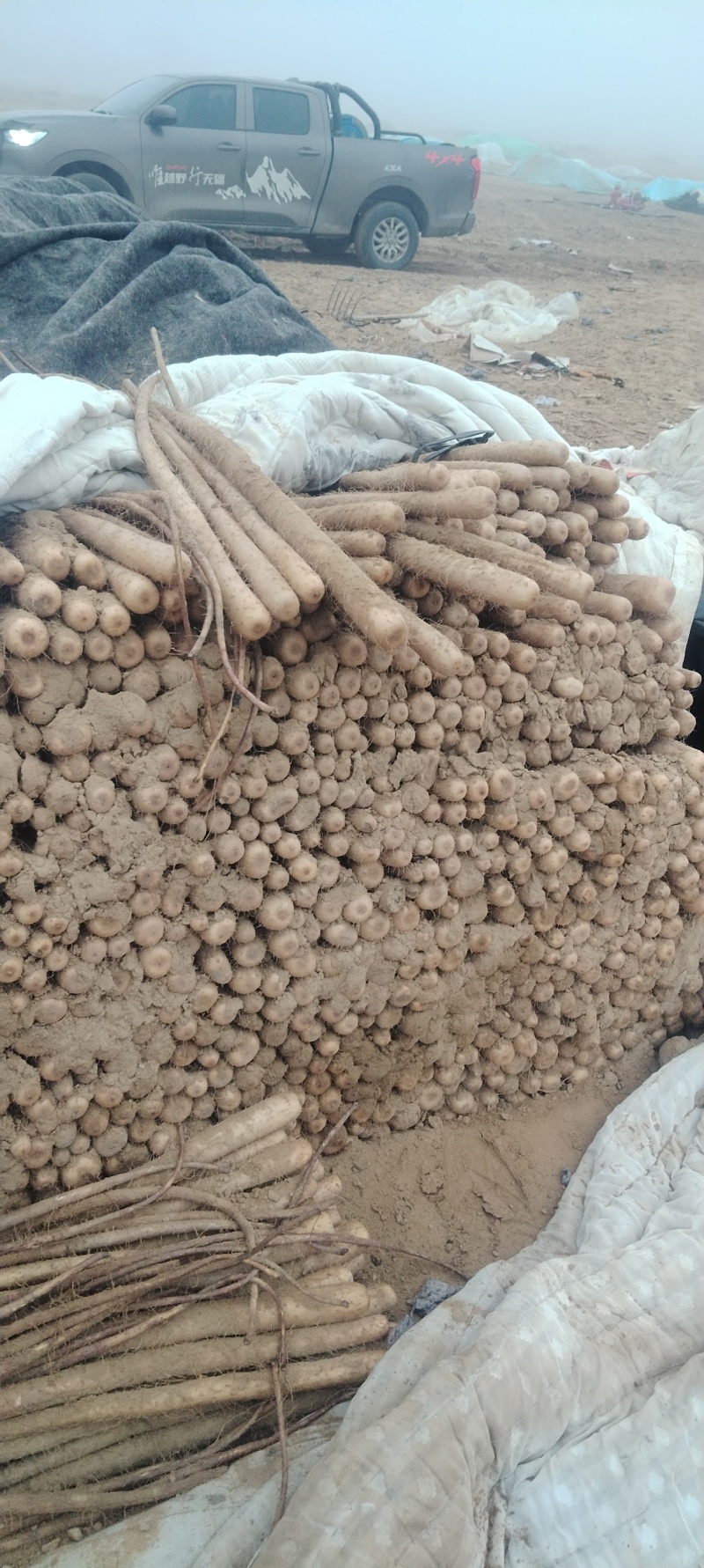 榆林紫药通货大量有货，以质论价，价格优惠，量大优先