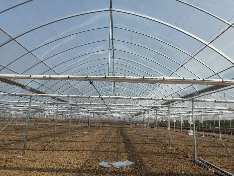 成套大棚养殖大棚蔬菜种植大棚抗压强结构稳定，