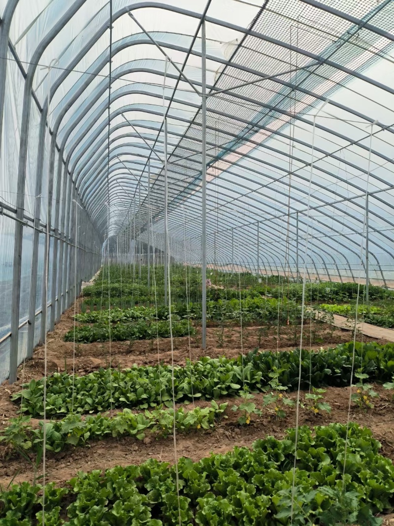 成套大棚养殖大棚蔬菜种植大棚抗压强结构稳定，