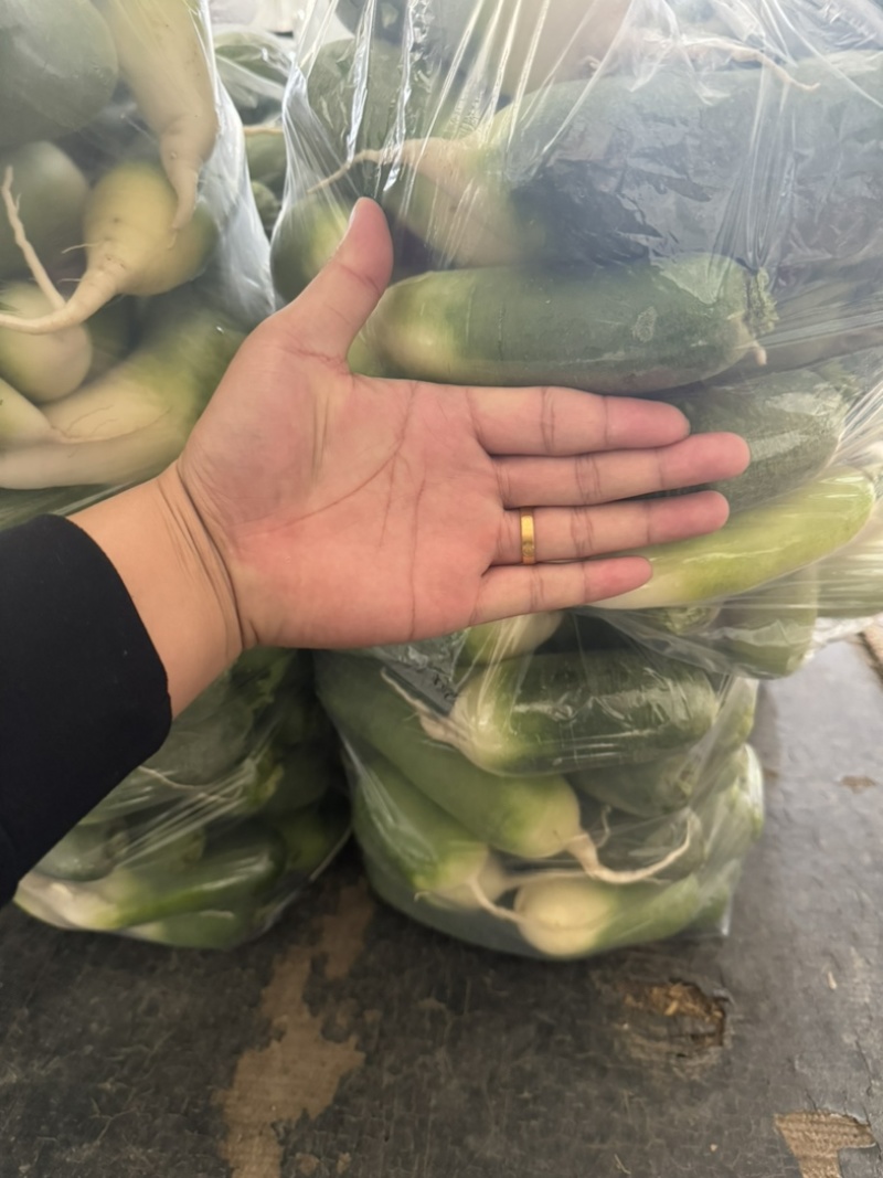 青皮青肉三青水果萝卜，口感甘甜微辣，安徽淮南萝卜基地