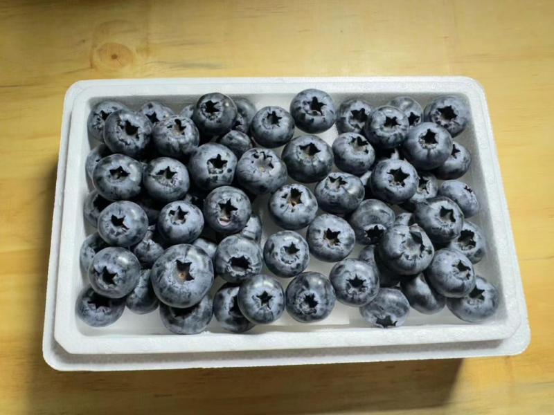 云南新新蓝莓🫐