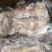袋筋牛蹄真空包装火烧毛牛脚去骨牛蹄50斤装20斤装都有