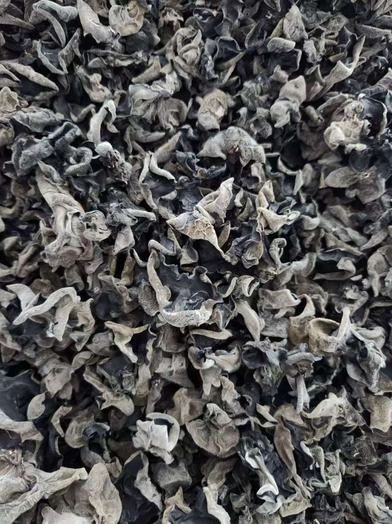 黑木耳