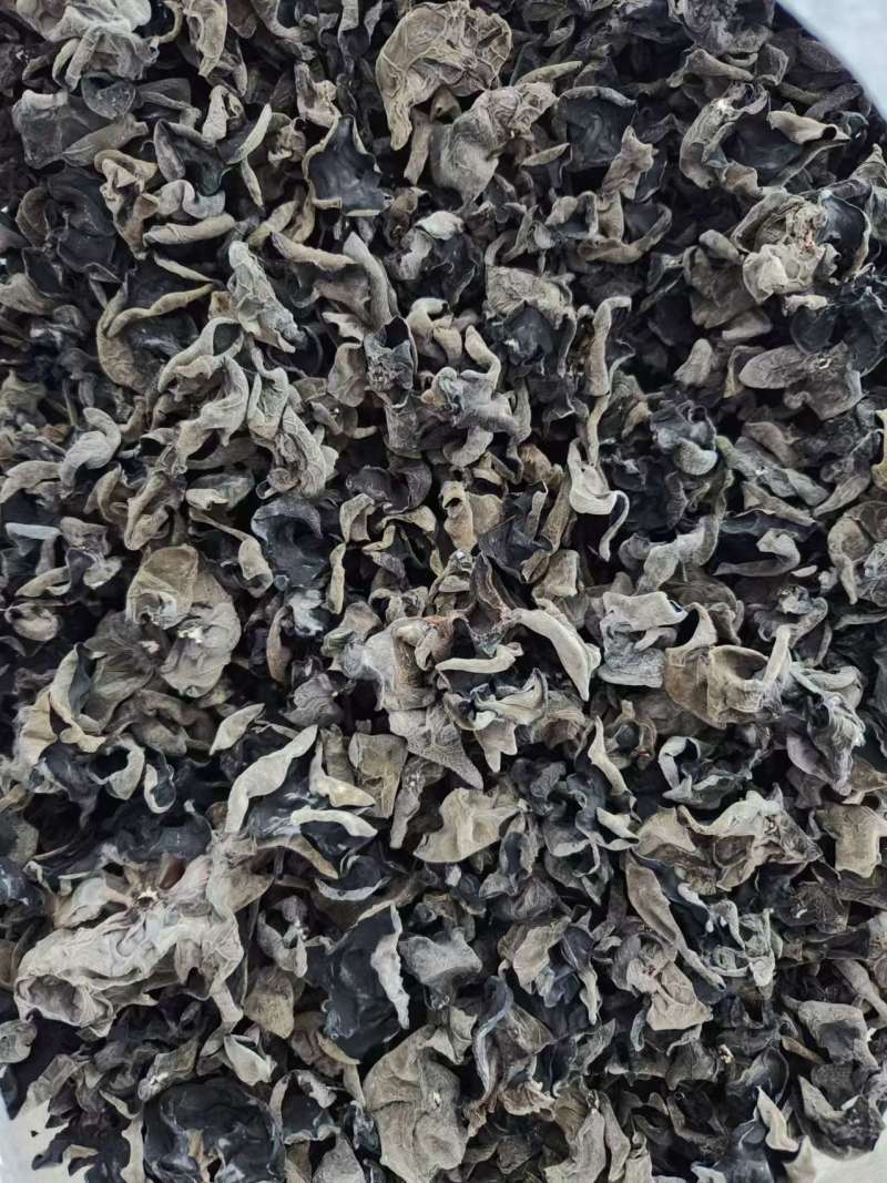 黑木耳