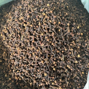 原包大红丁香，足干，无枝干，产地直发