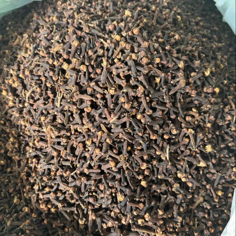 原包大红丁香，足干，无枝干，产地直发