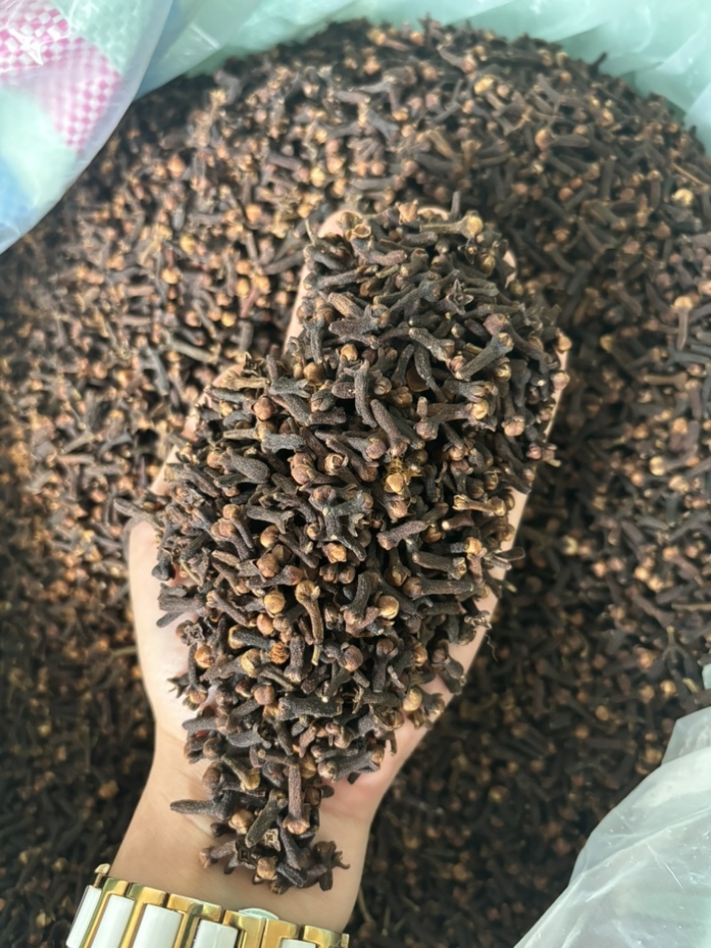 原包大红丁香，足干，无枝干，产地直发