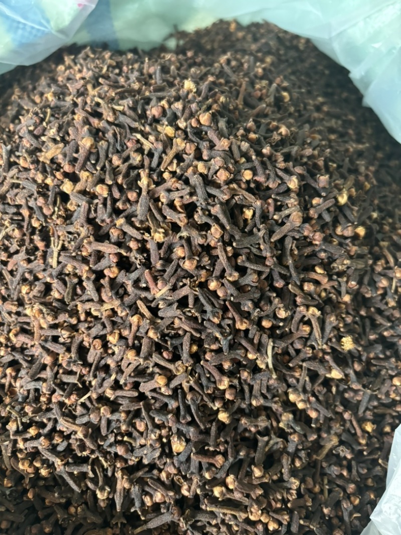原包大红丁香，足干，无枝干，产地直发