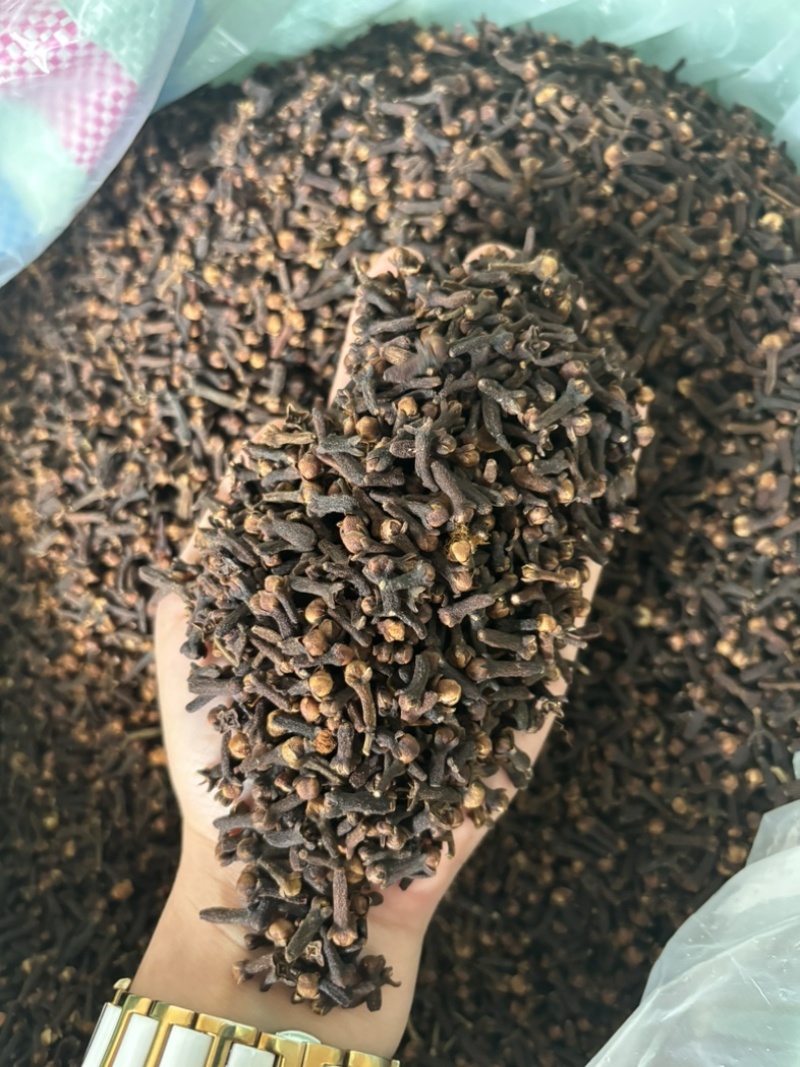 原包大红丁香，足干，无枝干，产地直发