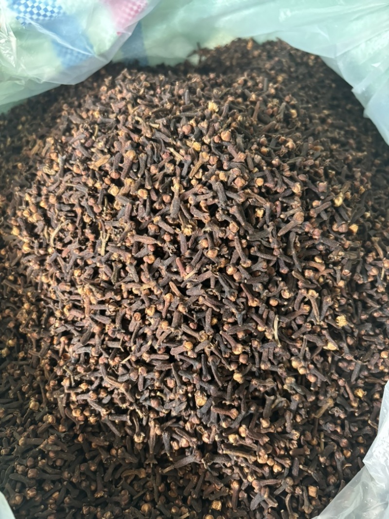 原包大红丁香，足干，无枝干，产地直发