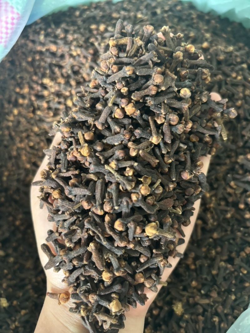 原包大红丁香，足干，无枝干，产地直发