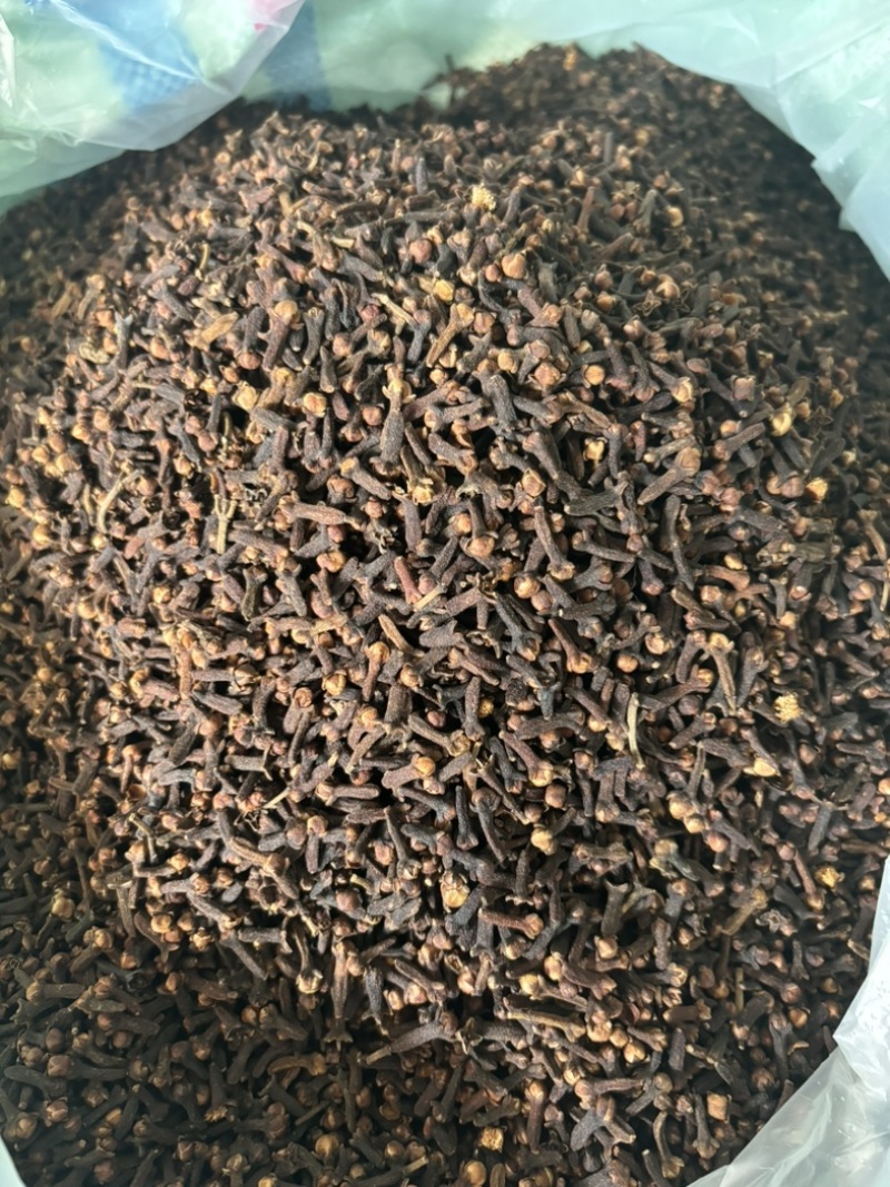 原包大红丁香，足干，无枝干，产地直发