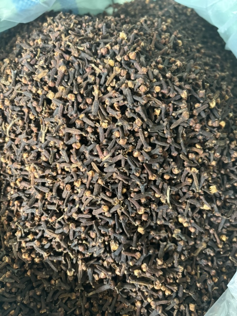 原包大红丁香，足干，无枝干，产地直发