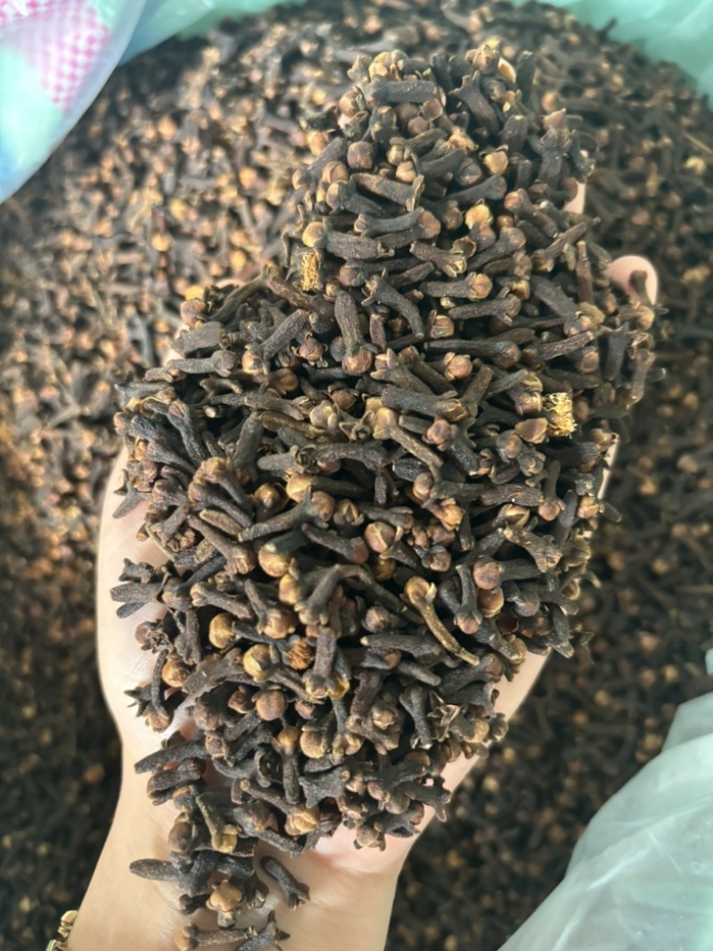 原包大红丁香，足干，无枝干，产地直发
