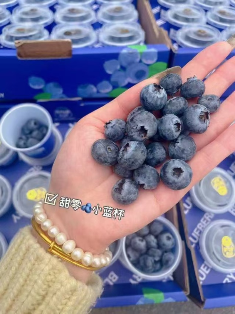 云南高原蓝莓