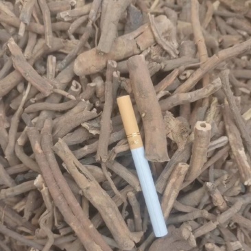 出售陕西商洛本地牡丹皮，黑丹，粉丹，选条各种规格