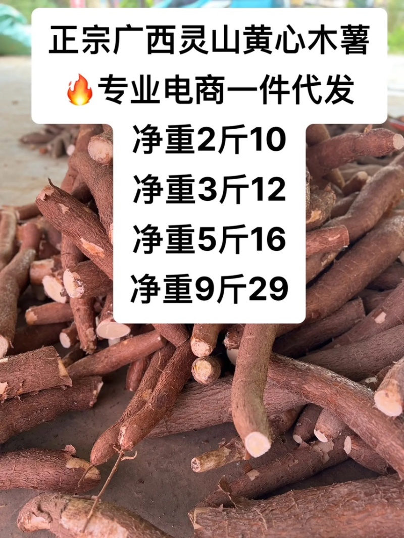 广西灵山黄心木薯电商一件代发华南九号黄肉木薯