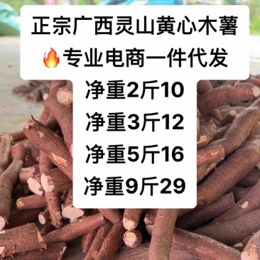 广西灵山黄心木薯电商一件代发华南九号黄肉木薯