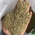 孜然印度，香味浓郁,颜色绿，干度好把短烧烤常备