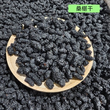 桑椹干四川大颗粒桑椹干大货批发免洗干净无沙发货快