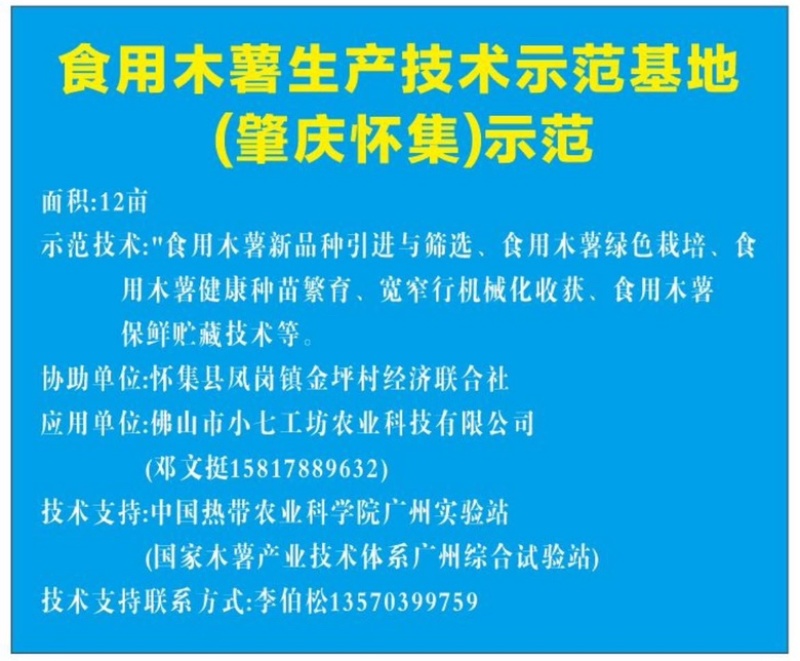 华南9号食用木薯供应链