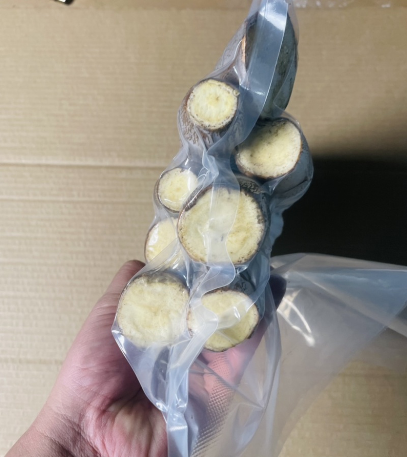 华南9号食用木薯供应链