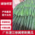 黄瓜基地直发，产地精品密刺黄瓜靓货欢迎来咨询了解