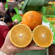 褚橙花斑果云南正宗黄皮橙子支持一件代发批发团购