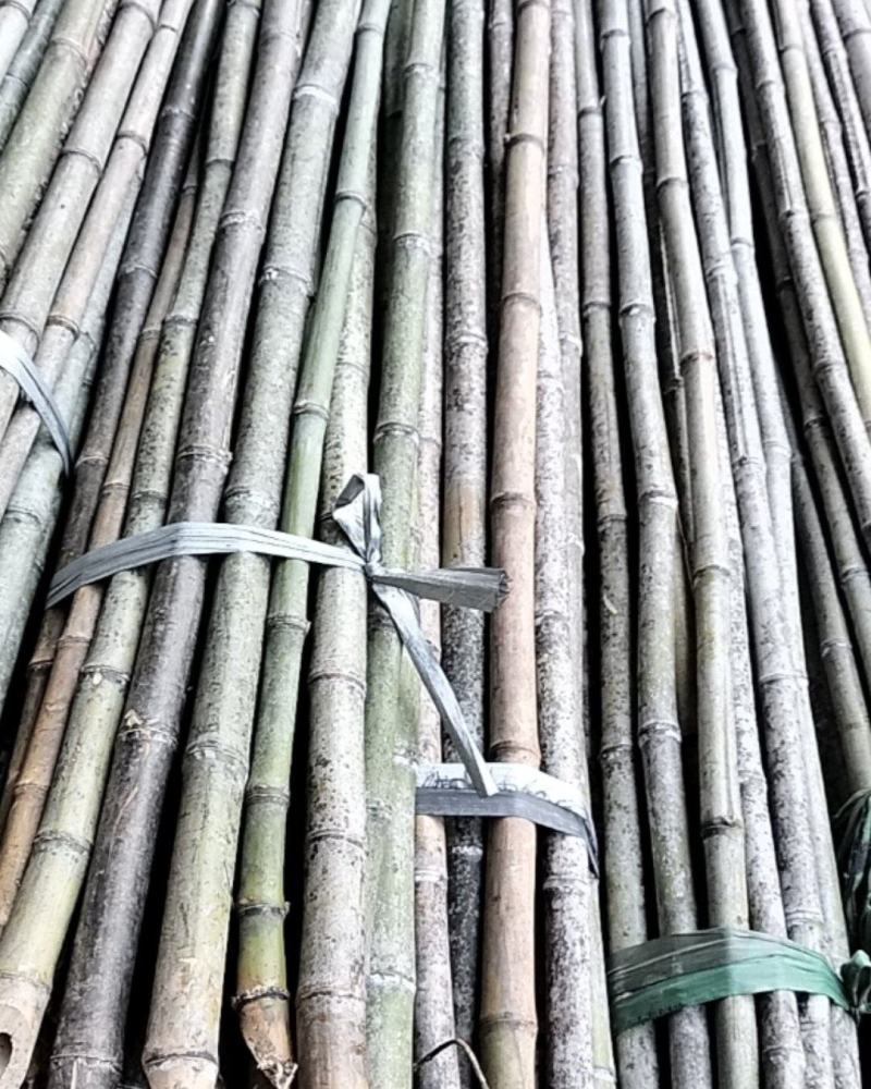 农户用的农产品，竹竿，架竹
