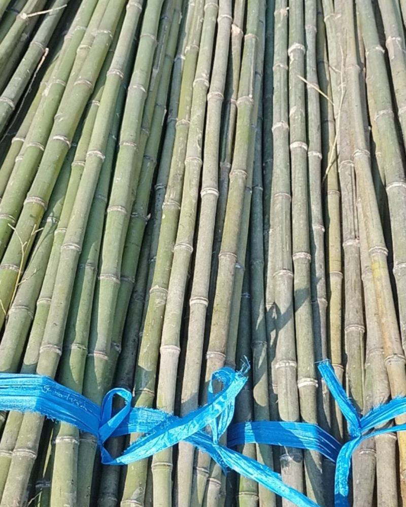 农户用的农产品，竹竿，架竹